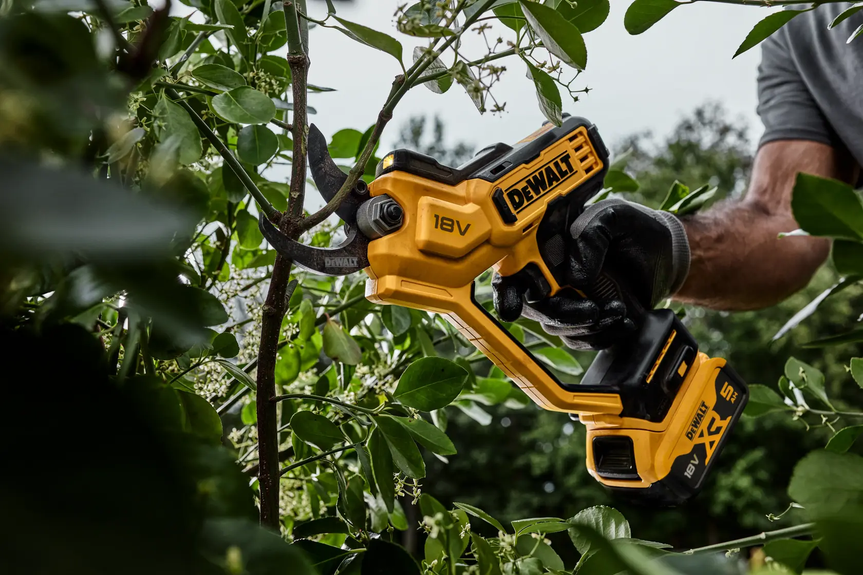 DEWALT® 18V XR® 32mm Power Pruner - 1 x 5Ah