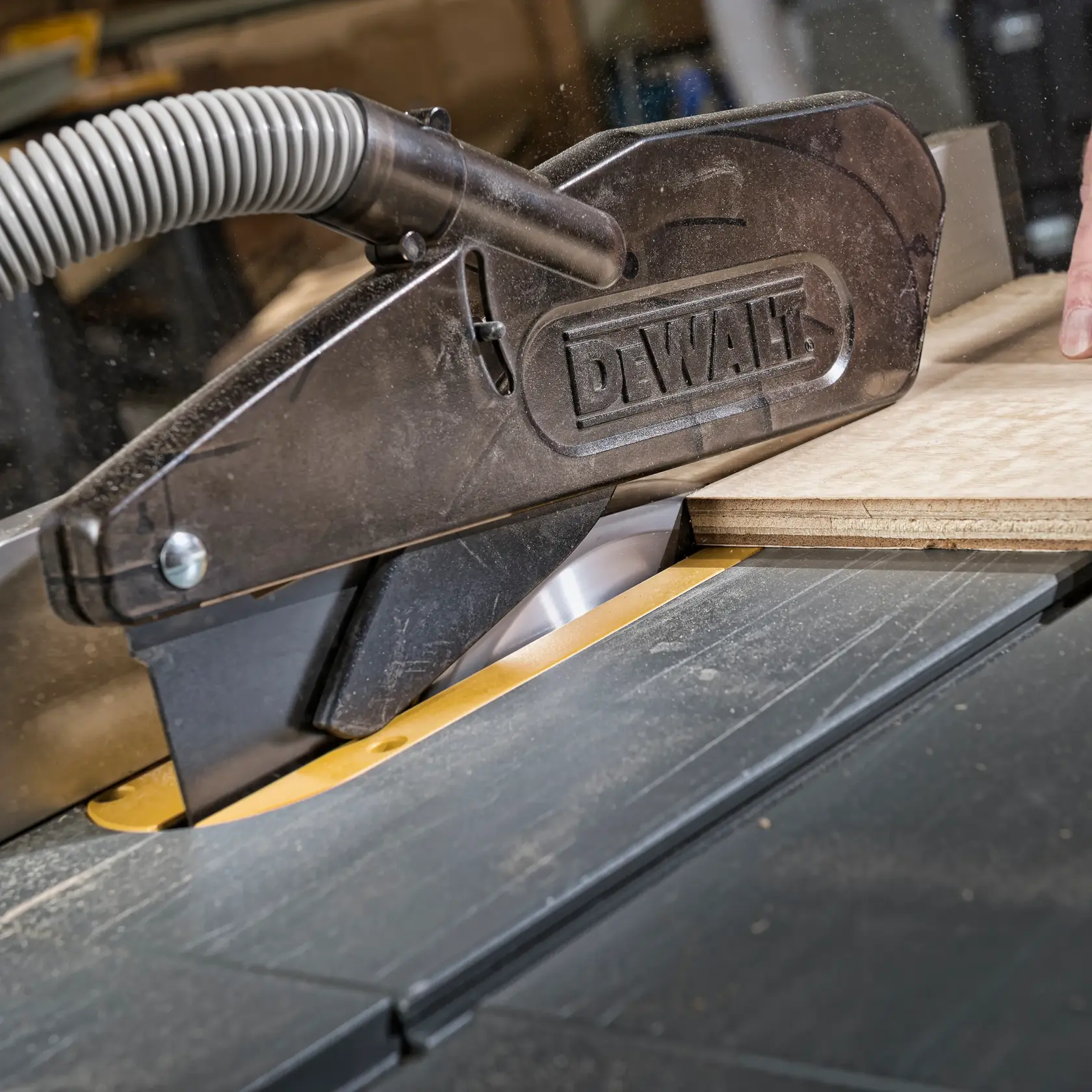 DEWALT® EXTREME WORKSHOP 250mm x 30mm 80T Circular Saw Blade